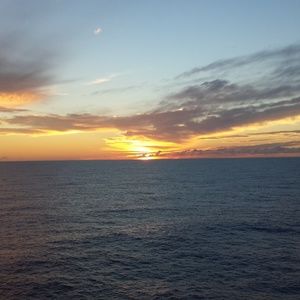 Meet your Posher, Shannacee